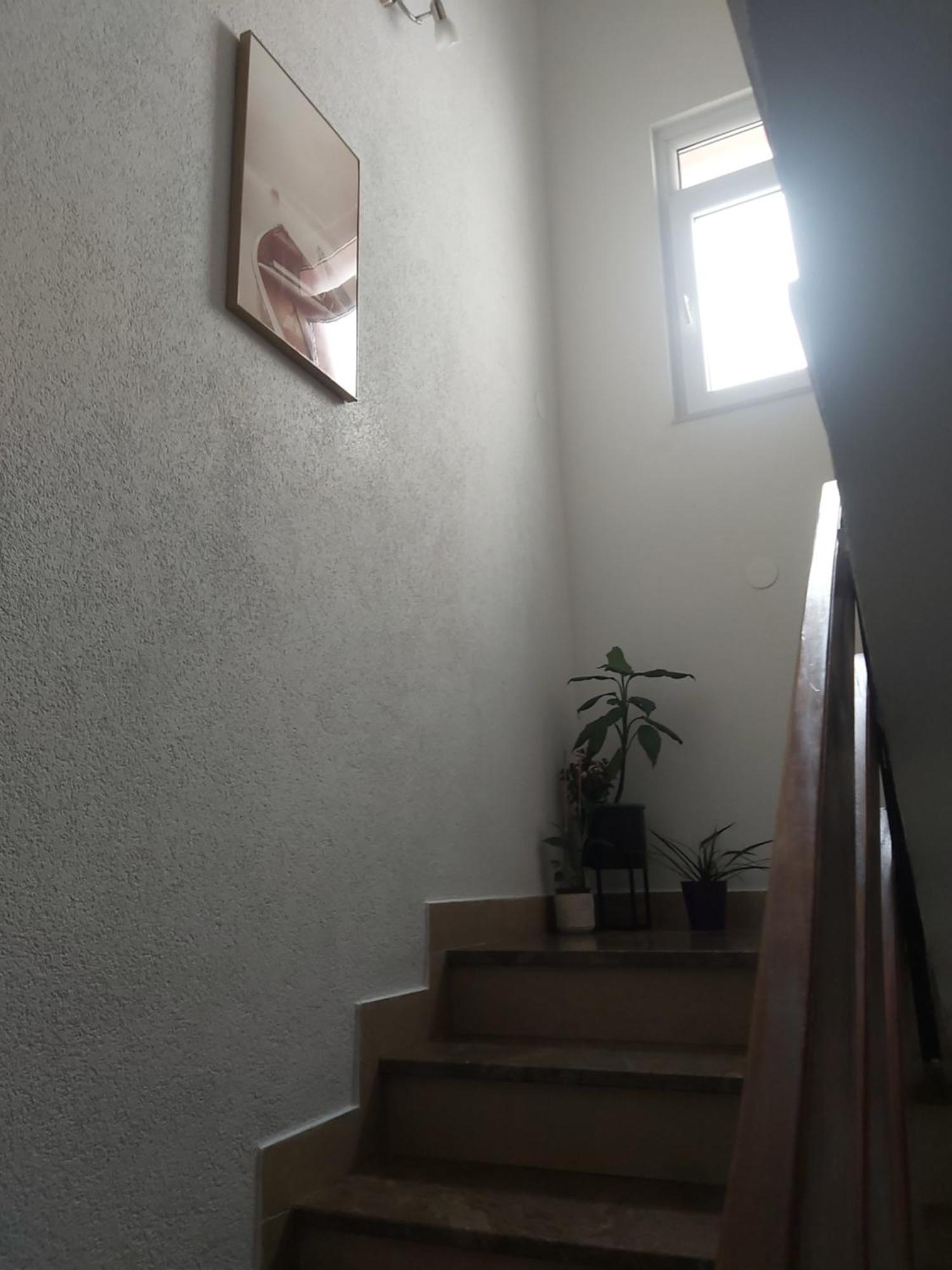 Apartments Culav 马卡尔斯卡 外观 照片